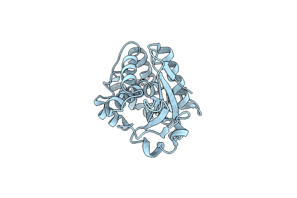 2G5X image