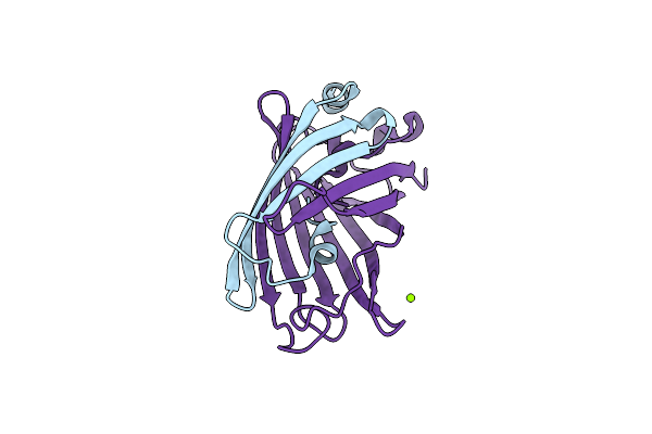 2G5Z image