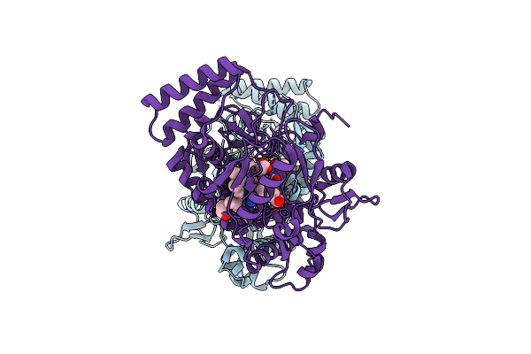 2G6H image