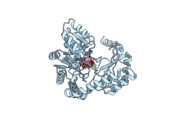 2G6W image