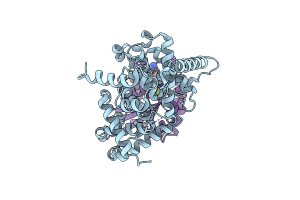 2G77 image