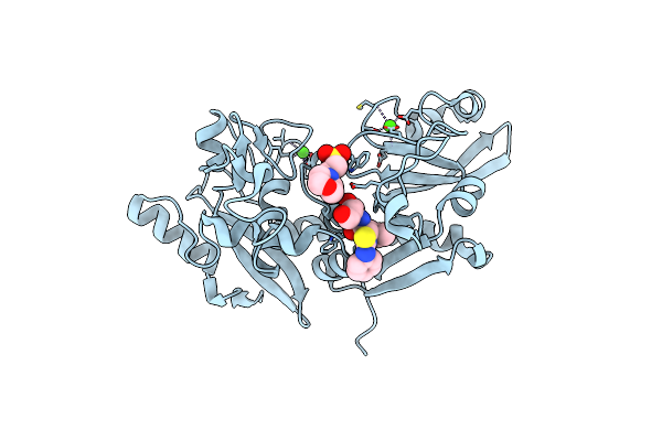 2G8E image