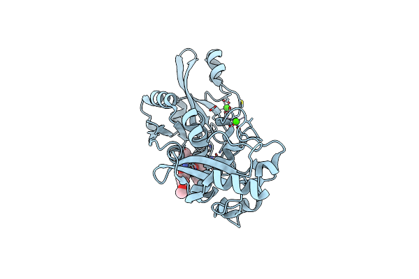 2G8J image