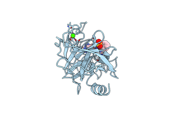 2G8T image
