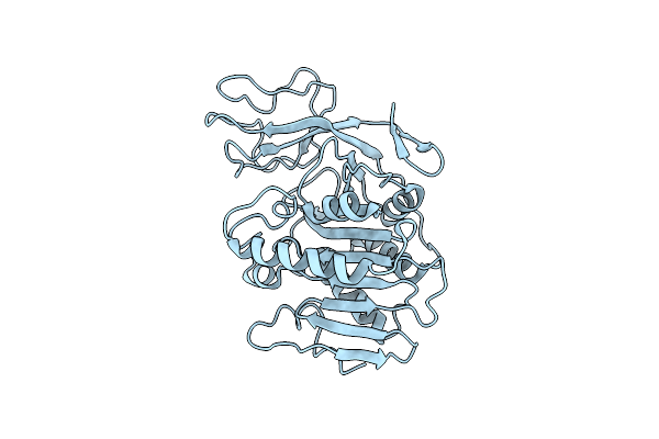 2G9D image
