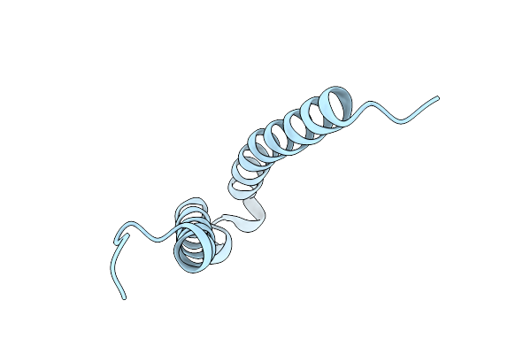 2G9E image
