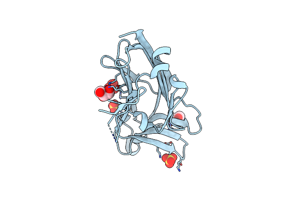 2G9G image