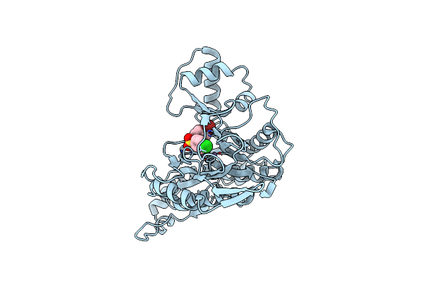2GA2 image