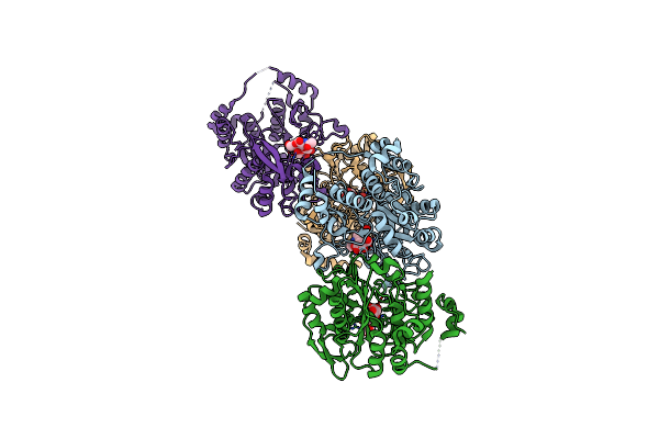 2GAM image