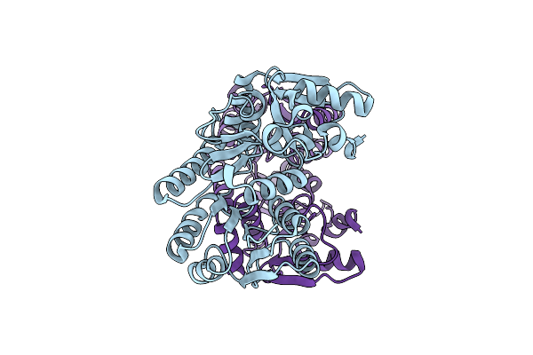 2GAS image