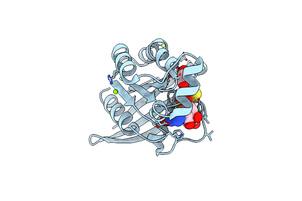 2GCP image