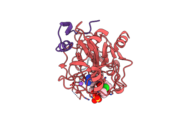 2GDE image