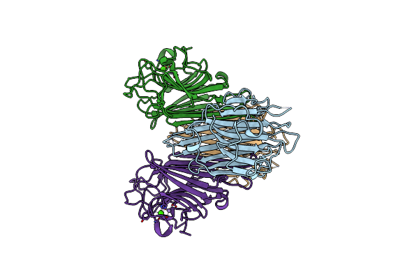 2GDF image
