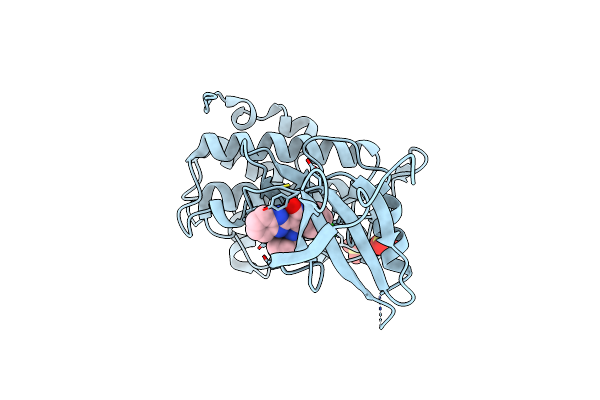 2GDO image