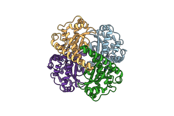 2GDS image