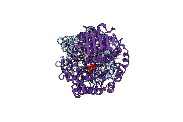 2GDV image