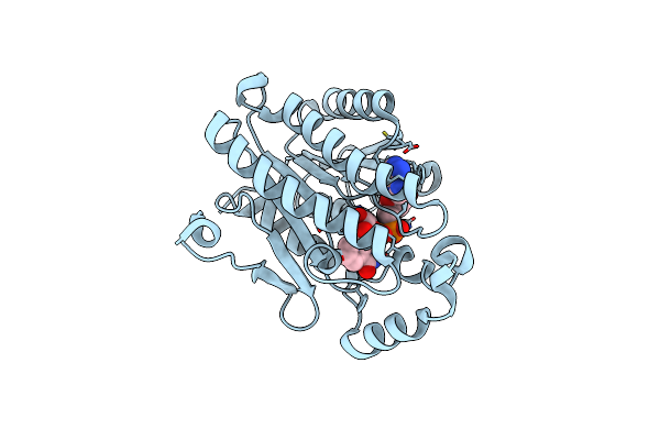 2GDZ image