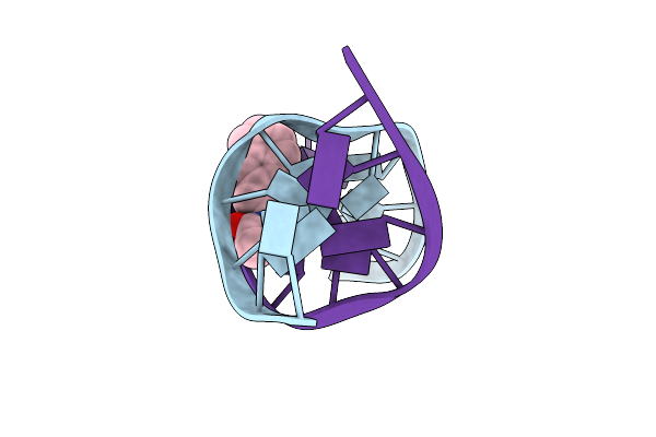2GE2 image