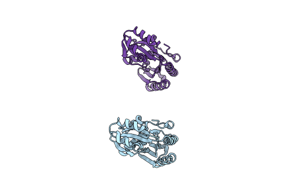 2GEL image