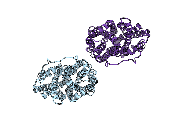 2GFP image