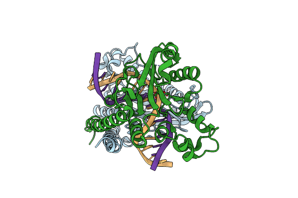 2GIH image