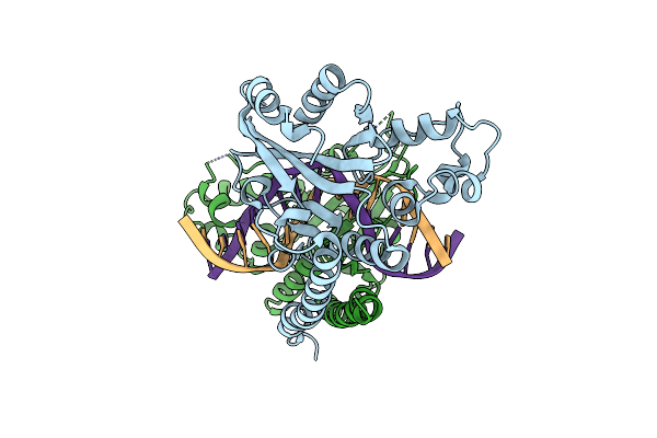 2GII image
