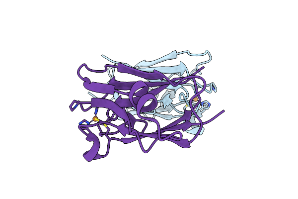 2GIM image