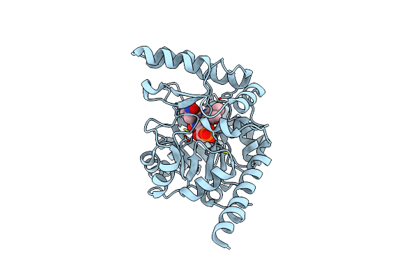 2GJN image
