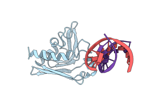 2GKD image
