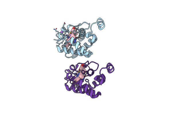 2GKM image