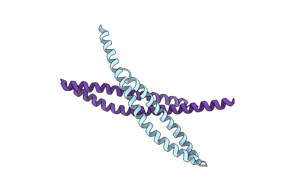 2GL2 image