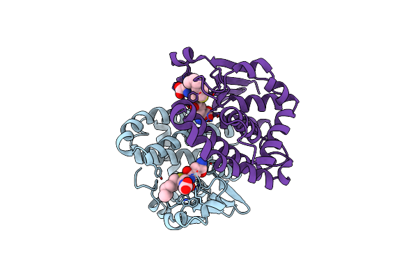 2GLR image
