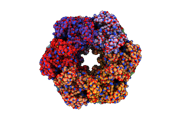 2GLS image