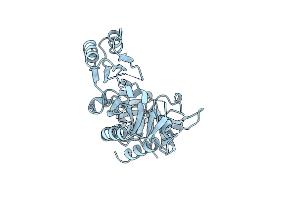 2GLT image