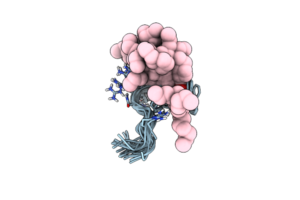 2GMD image