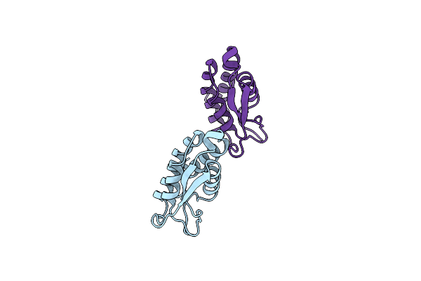 2GMF image