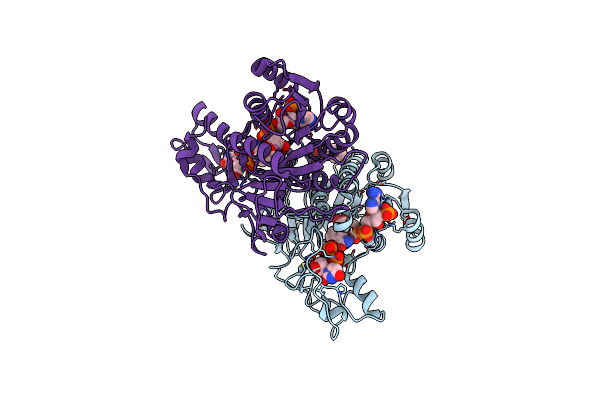 2GN8 image
