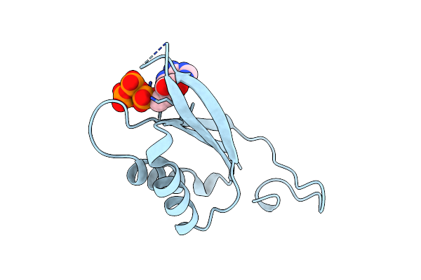 2GNK image