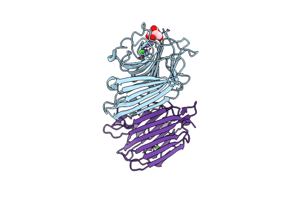 2GNM image
