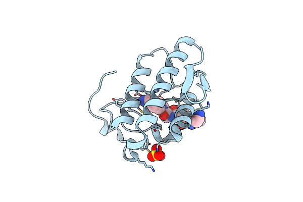 2GNS image