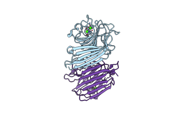 2GNT image