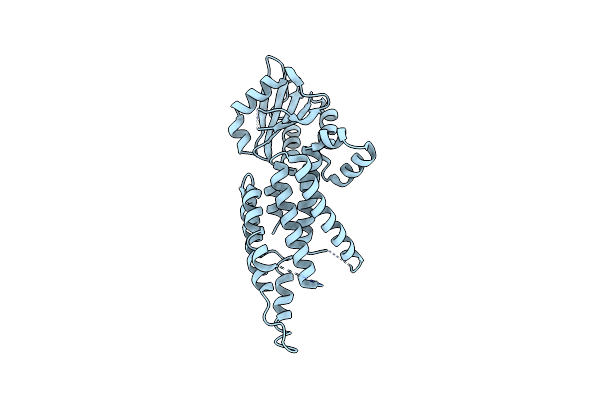 2GNX image