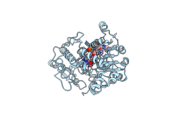 2GSD image