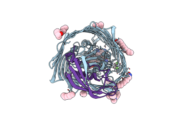 2GSK image