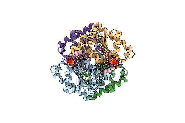 2GSW image