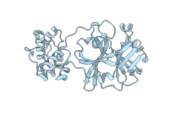 2GT8 image
