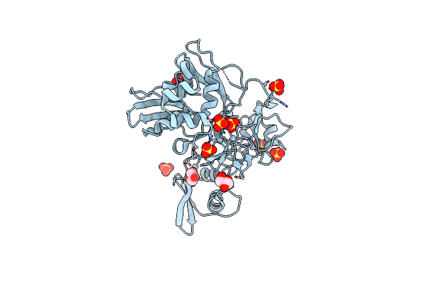 2GTI image