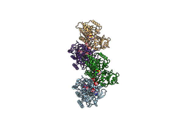 2GVC image