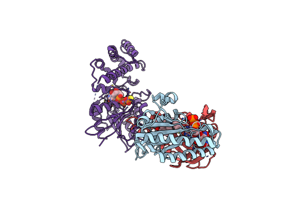 2GVD image