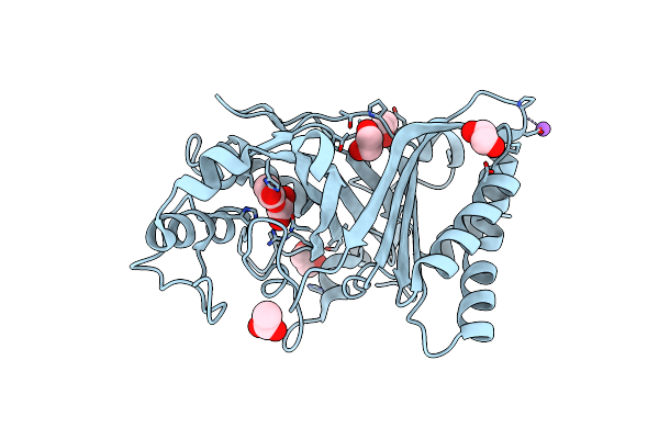 2GVK image